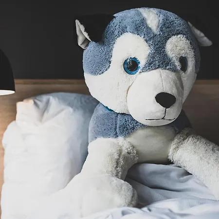 فندق فيرست كولدينج فندق 4*