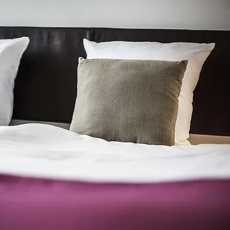 Hotel Kolding מלון