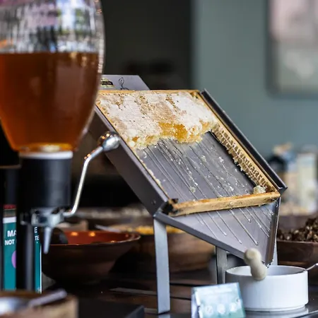 فندق فندق فيرست كولدينج 4*